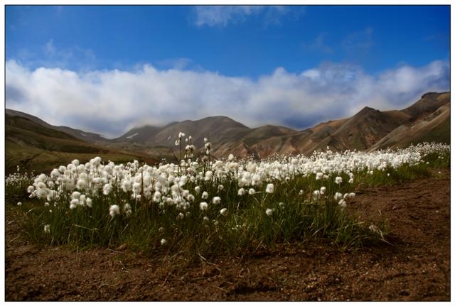 landmannalaugar.jpg4 (Small).jpg